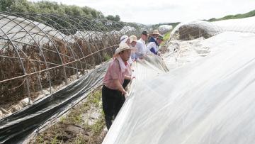 수해농가 피해복구 일손돕기