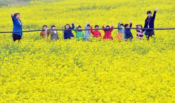 내포신도시 유채 축제