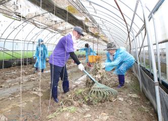 천안지역 피해농가 봉사