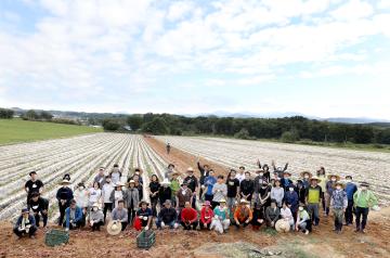 가을철 농촌일손돕기