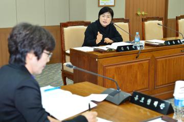 제267회 임시회 행정자치위원회(제4차)