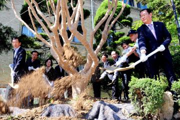 충남도청 전통계승 상징수 이식 첫 삽 뜨기