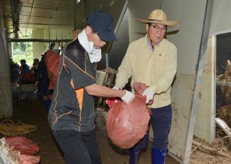 충남도의회 천안수해현장 복구작업