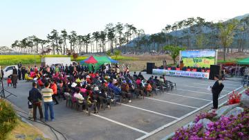 내포신도시 유채.청보리 축제
