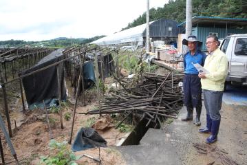 금산지역 피해농가 봉사