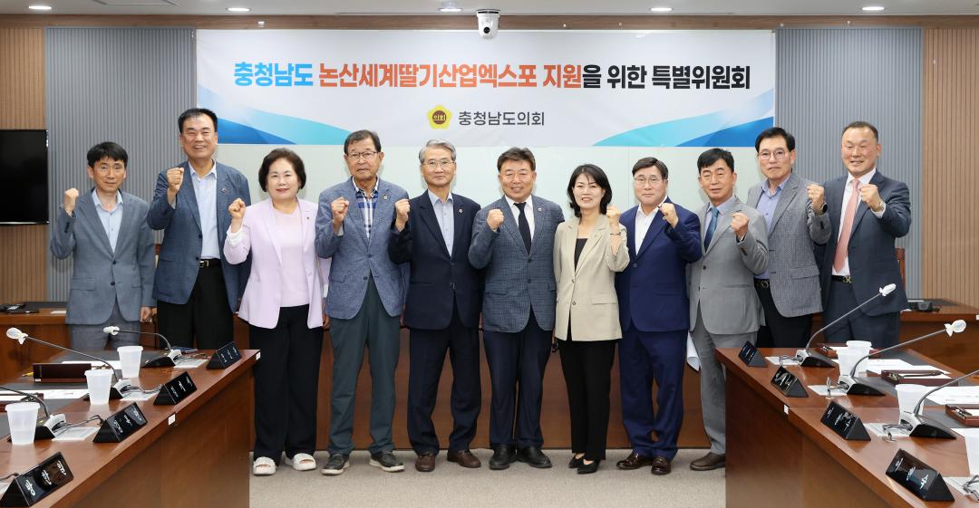 Nonsan World Strawberry Industry Expo Support Special Committee picture